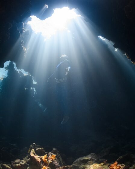 a sunbeam shines through a cave in the ocean