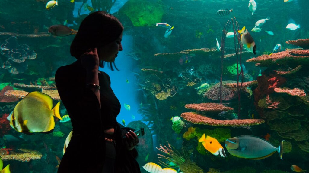 silhouette of woman standing near aquarium